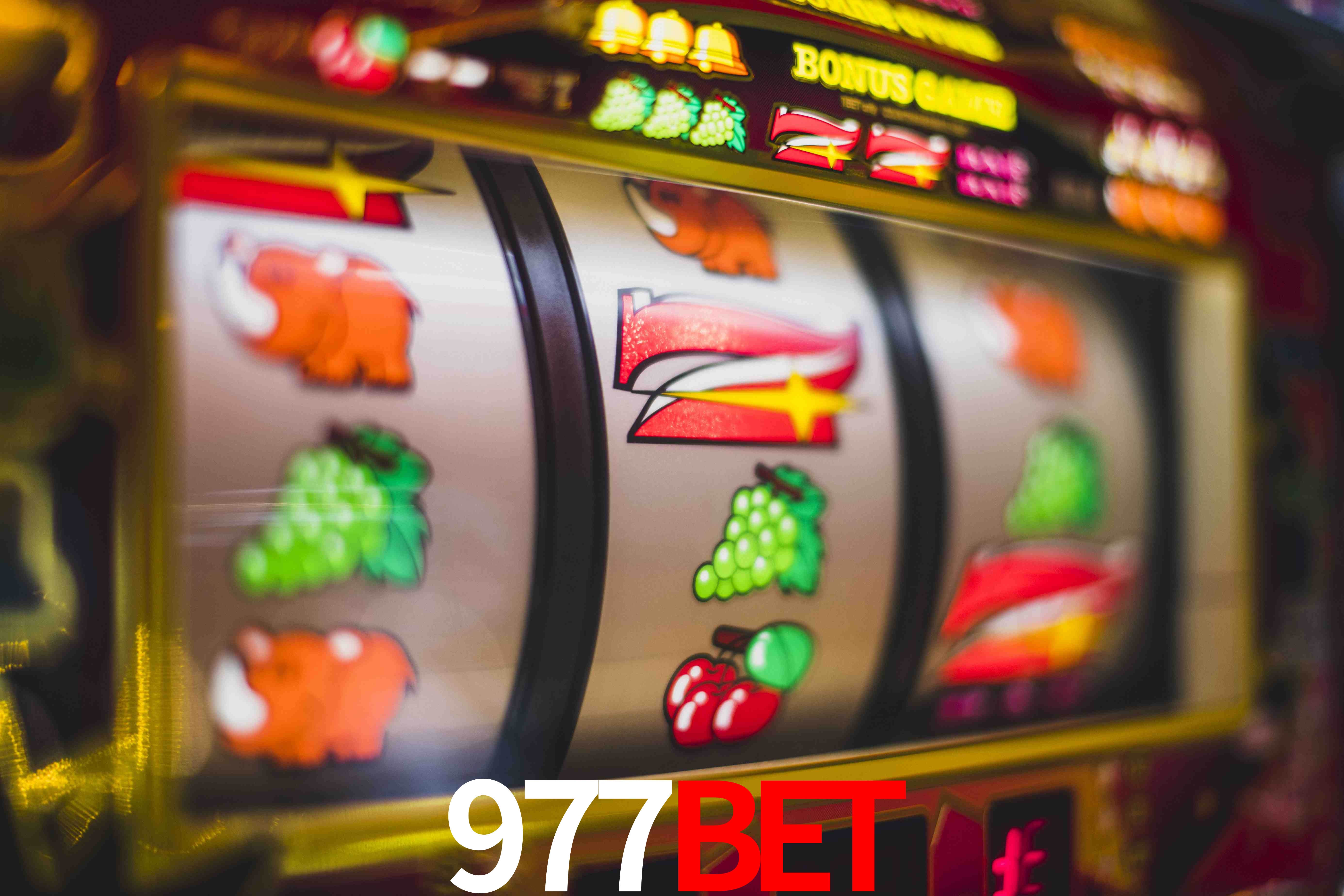 Statistics 977bet